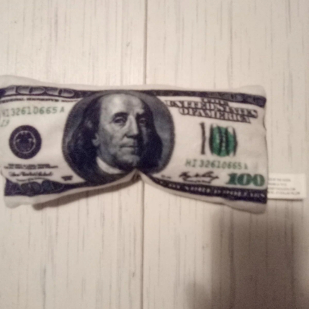 Money pillow